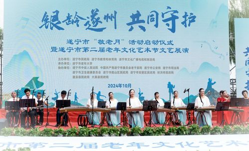銀齡遂州 共同守護(hù)——遂寧市敬老月活動(dòng)啟動(dòng)暨第二屆老年文化藝術(shù)節(jié)文藝展演圓滿舉行